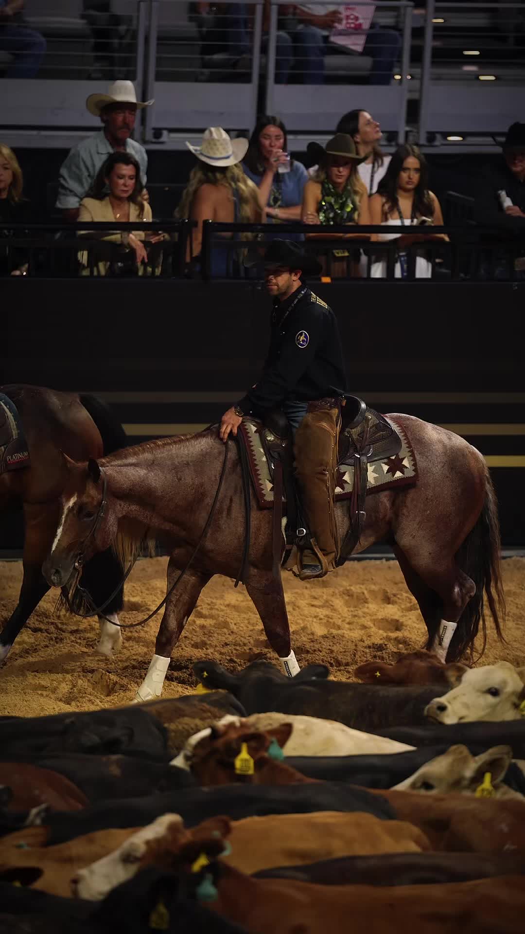 @American Performance Horseman