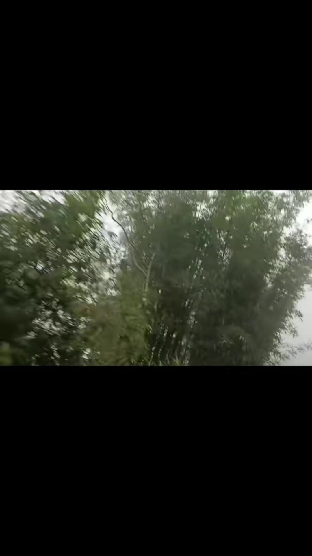 @Amit 👑भुमीहार