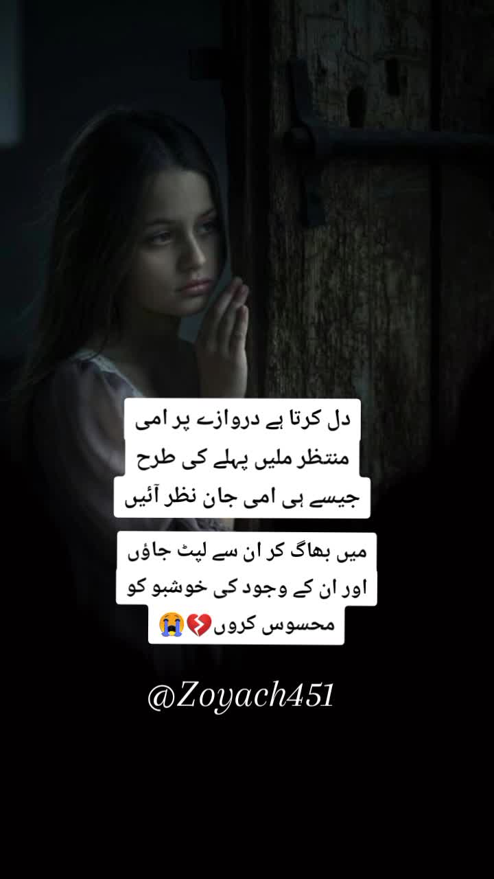 @ZOii..🦋