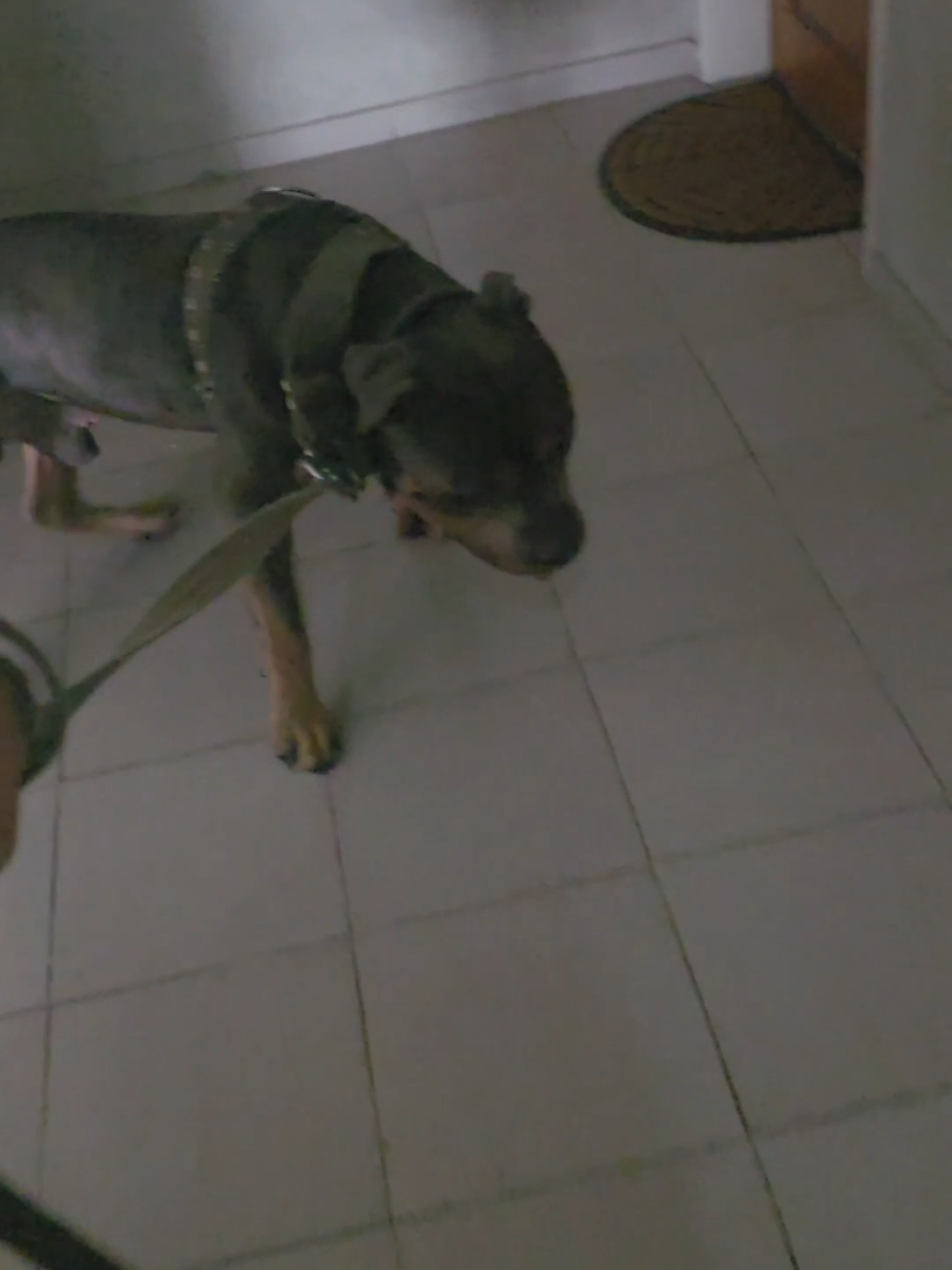 @Agus y Tarantino 💛🐶