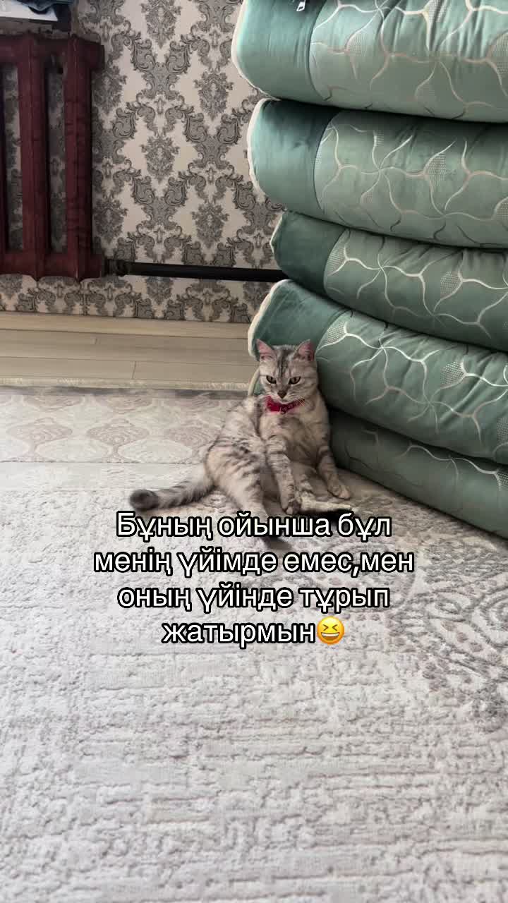 @boni04akx