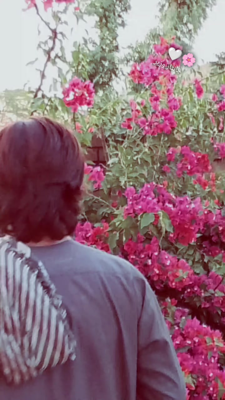 @{Miaنi🌸🤍}&deg;^&deg;