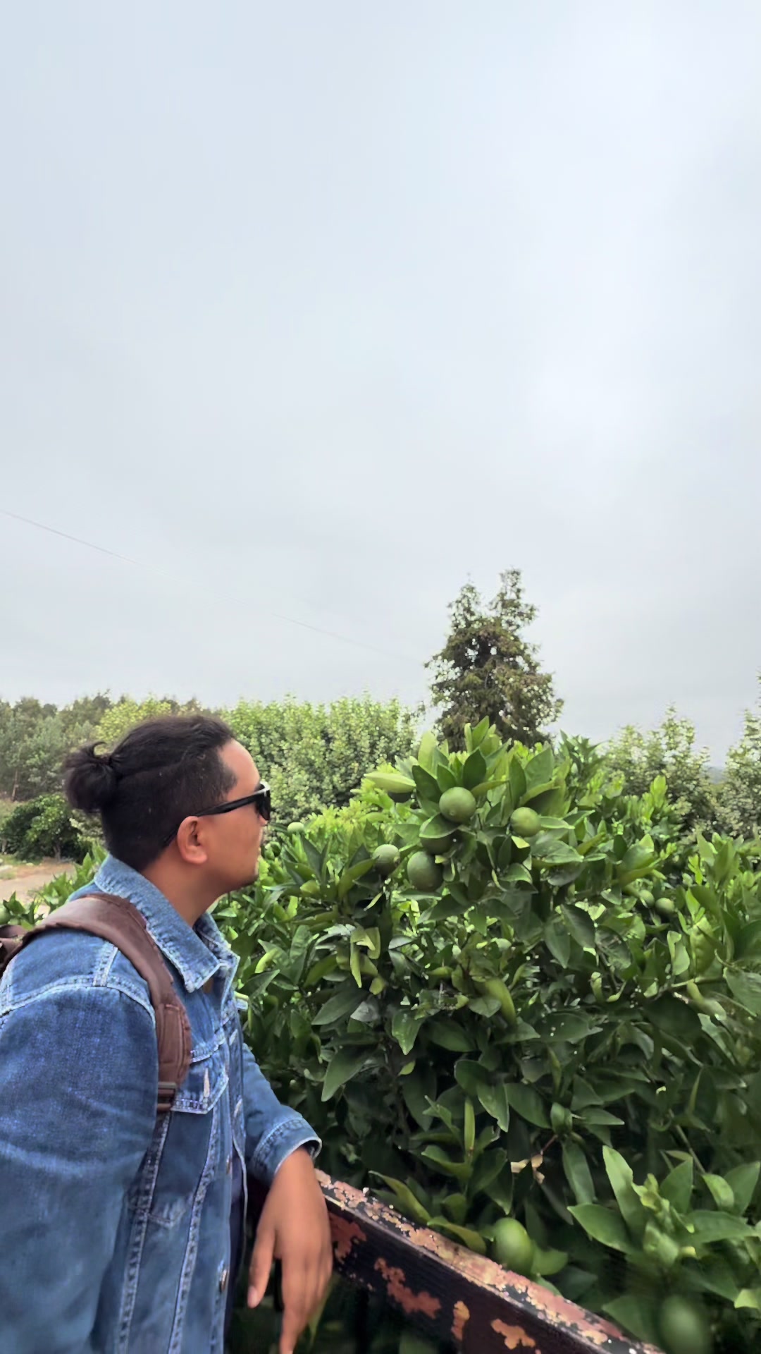 @Abinash vlog✅