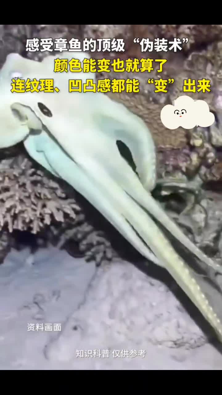 @18号