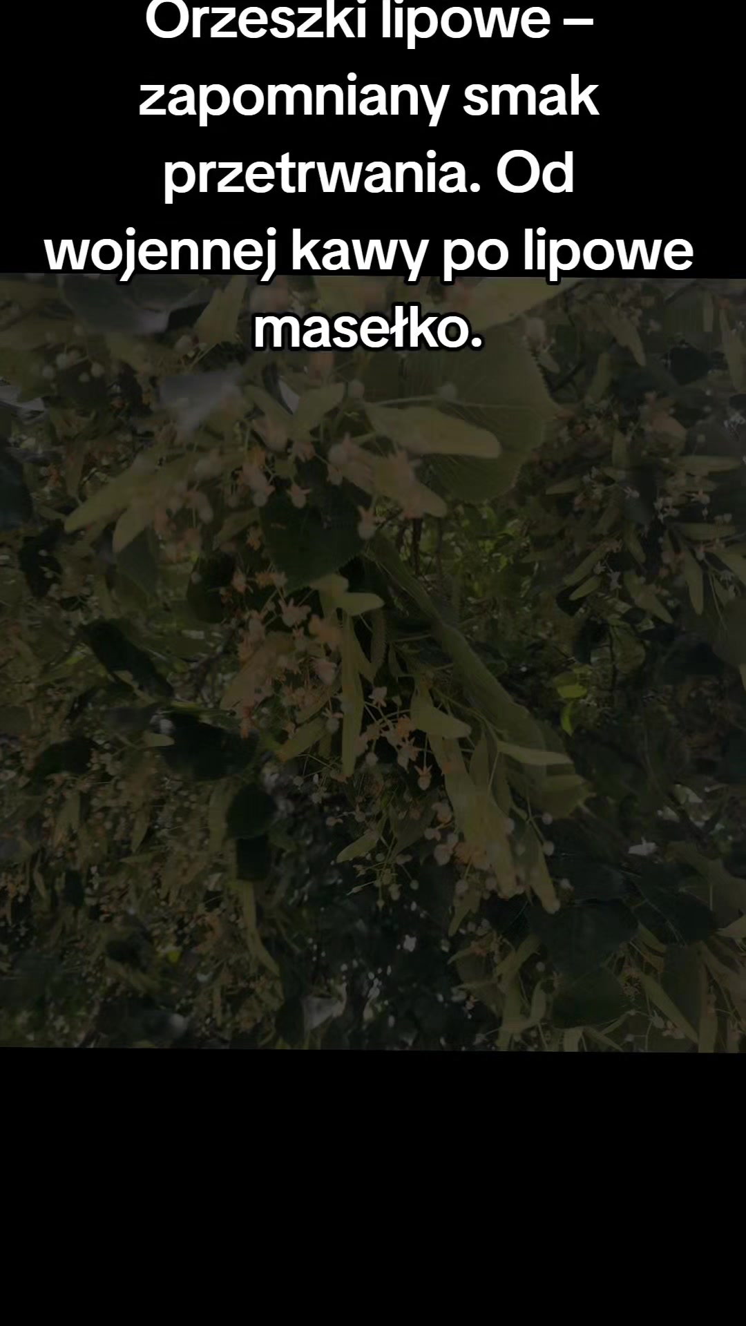 @Zielsko Szeptuchy