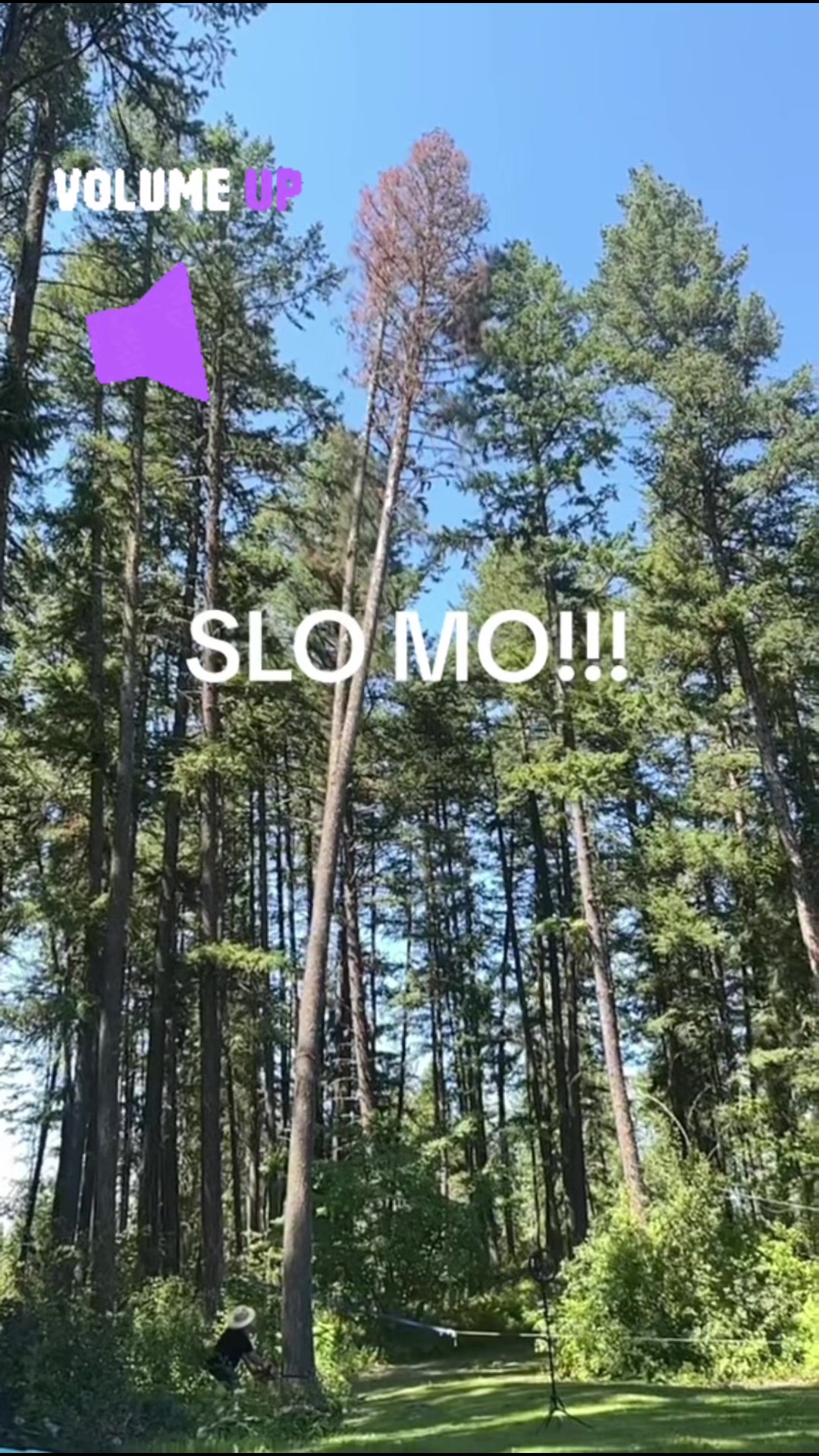 @🇨🇦StonerMechanic420🇨🇦
