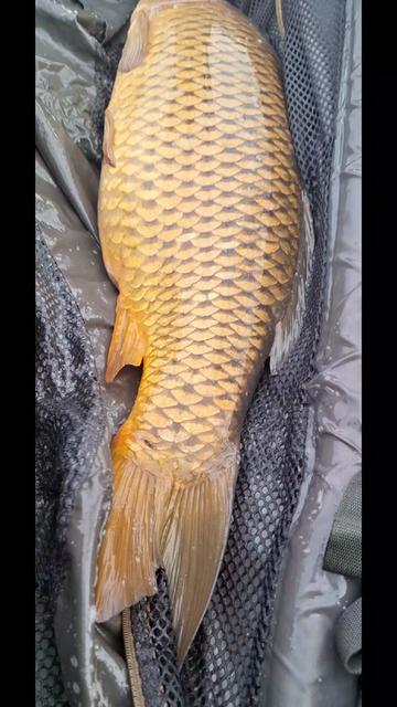 @Fish hunter