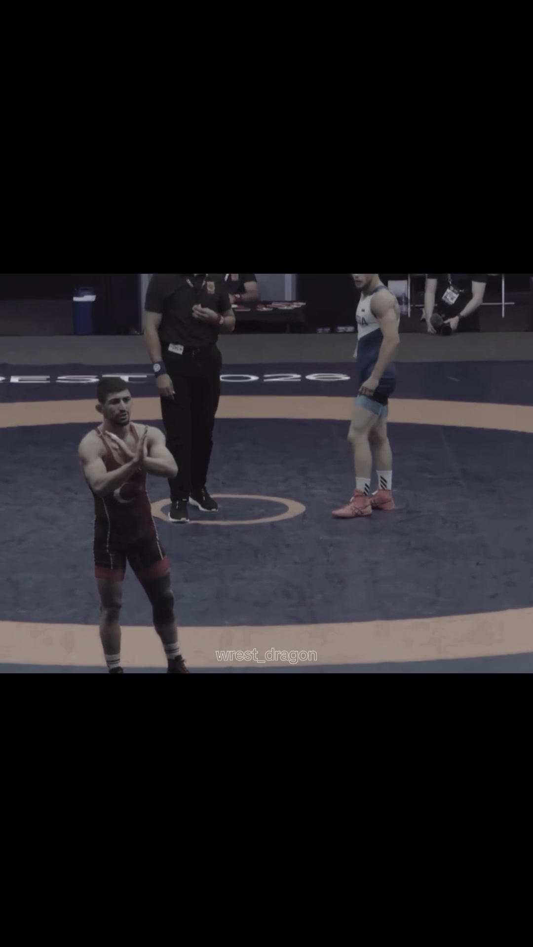 @wrest_dragon