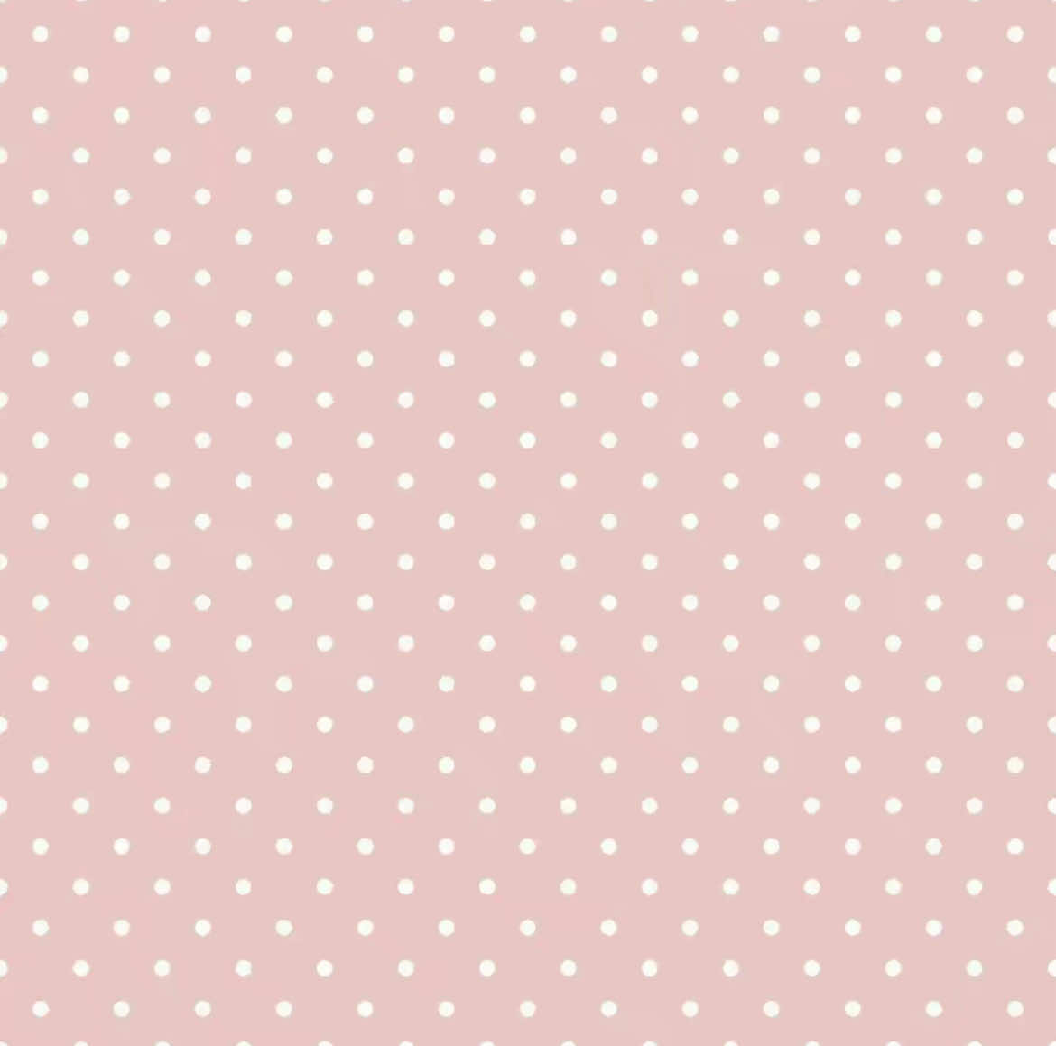 @꒰ঌ ⋮🧸ྀི ⋮ 𝐷𝑎𝑝ℎ𝑛𝑒 .ᐟ ໒꒱