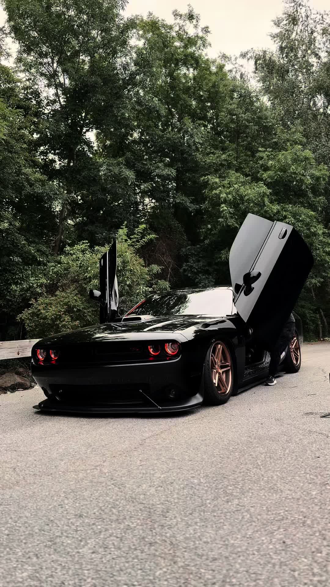 @Scatpack Bee 🐝