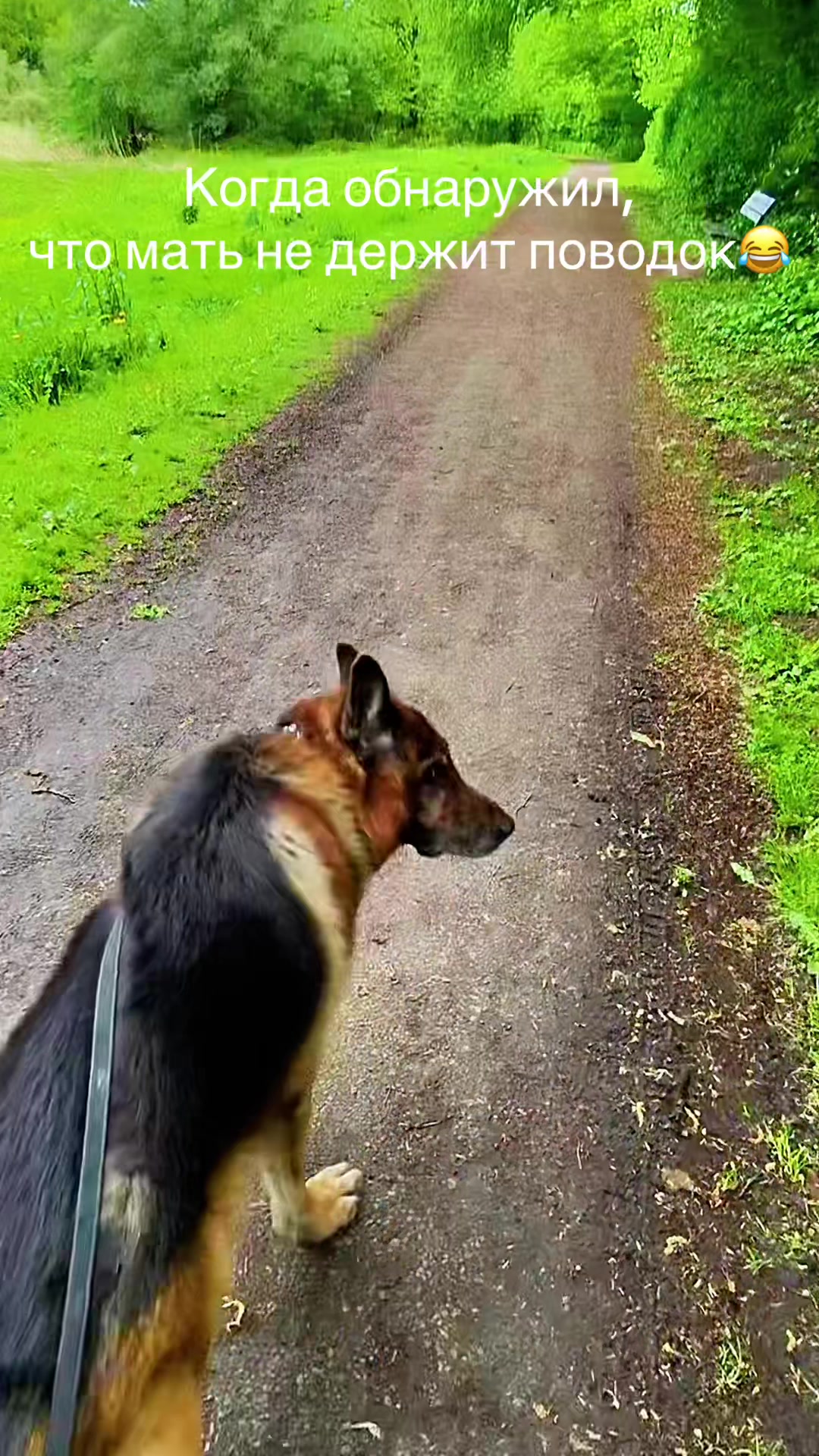 @❤️🐶Elena & Hundewelt🐶❤️