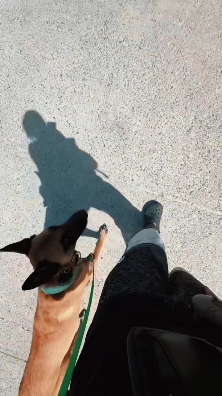 @🦇