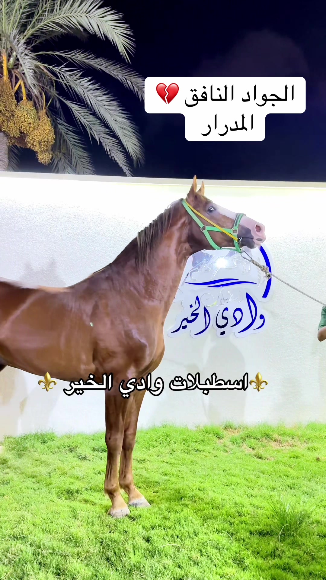 @حسن الذويبي