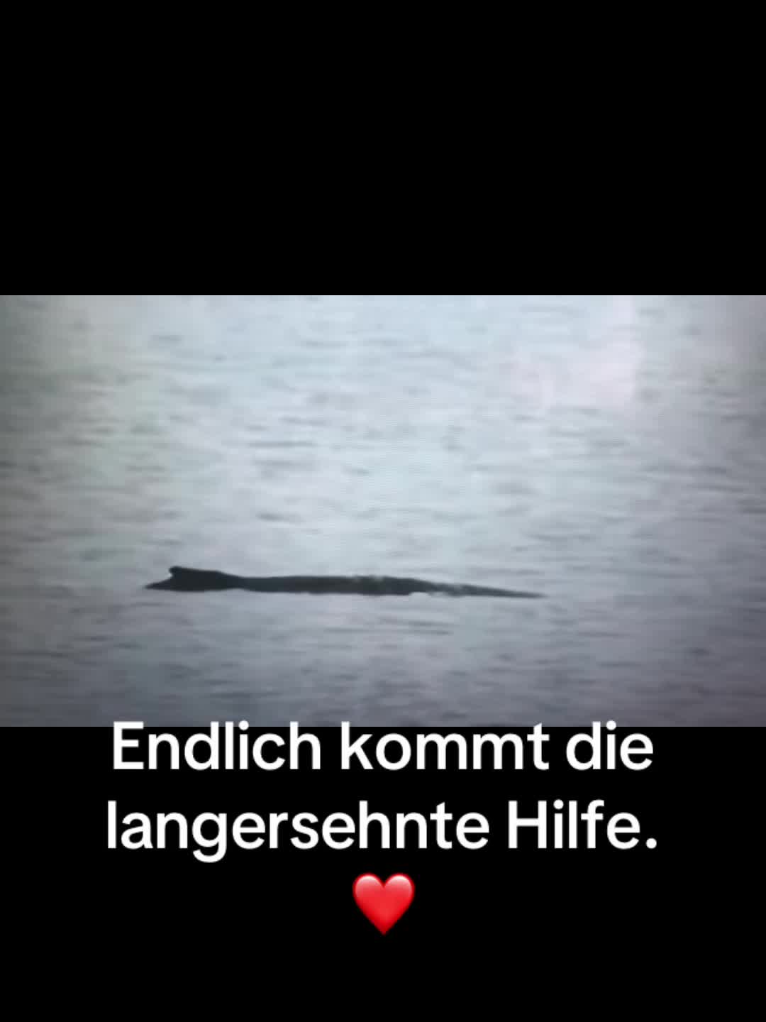 @Bibi