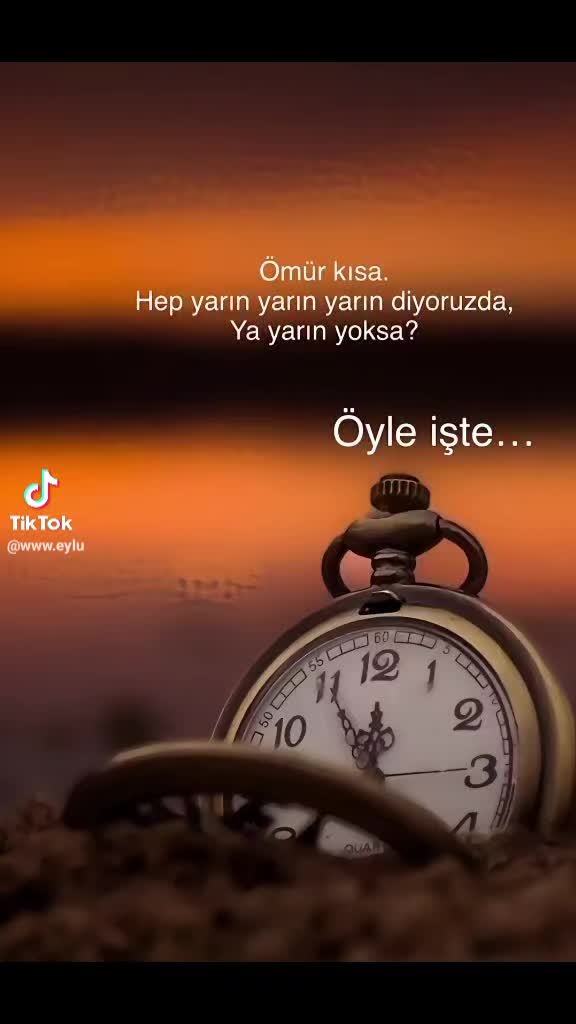@Birgül Şen 03