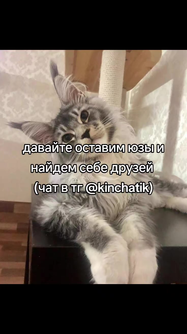 @cqtagger