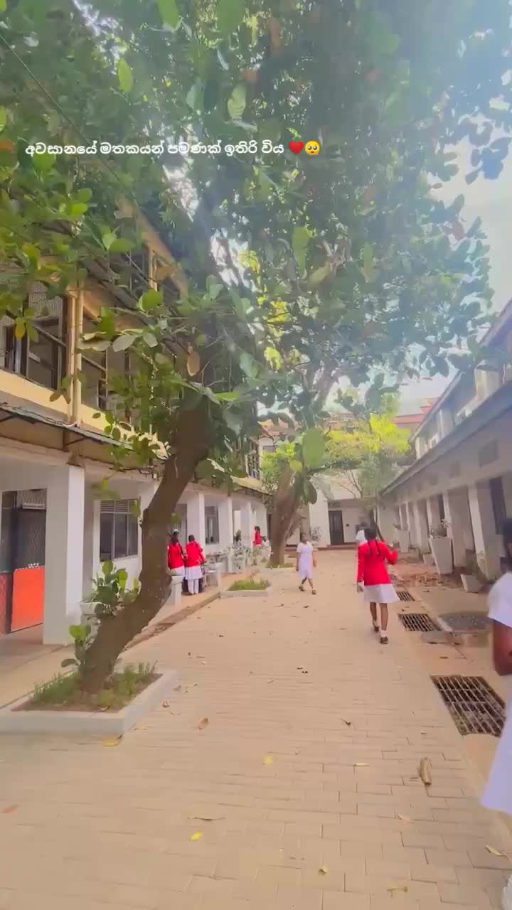 @Sa_Su