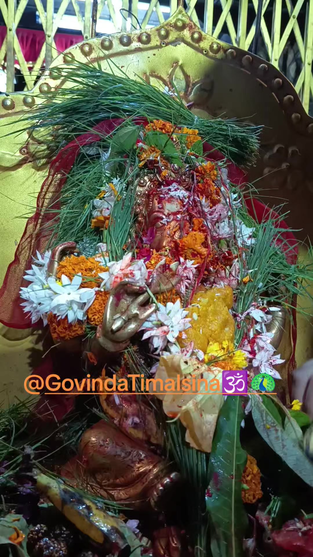 @Govinda Timalsina🕉🦚