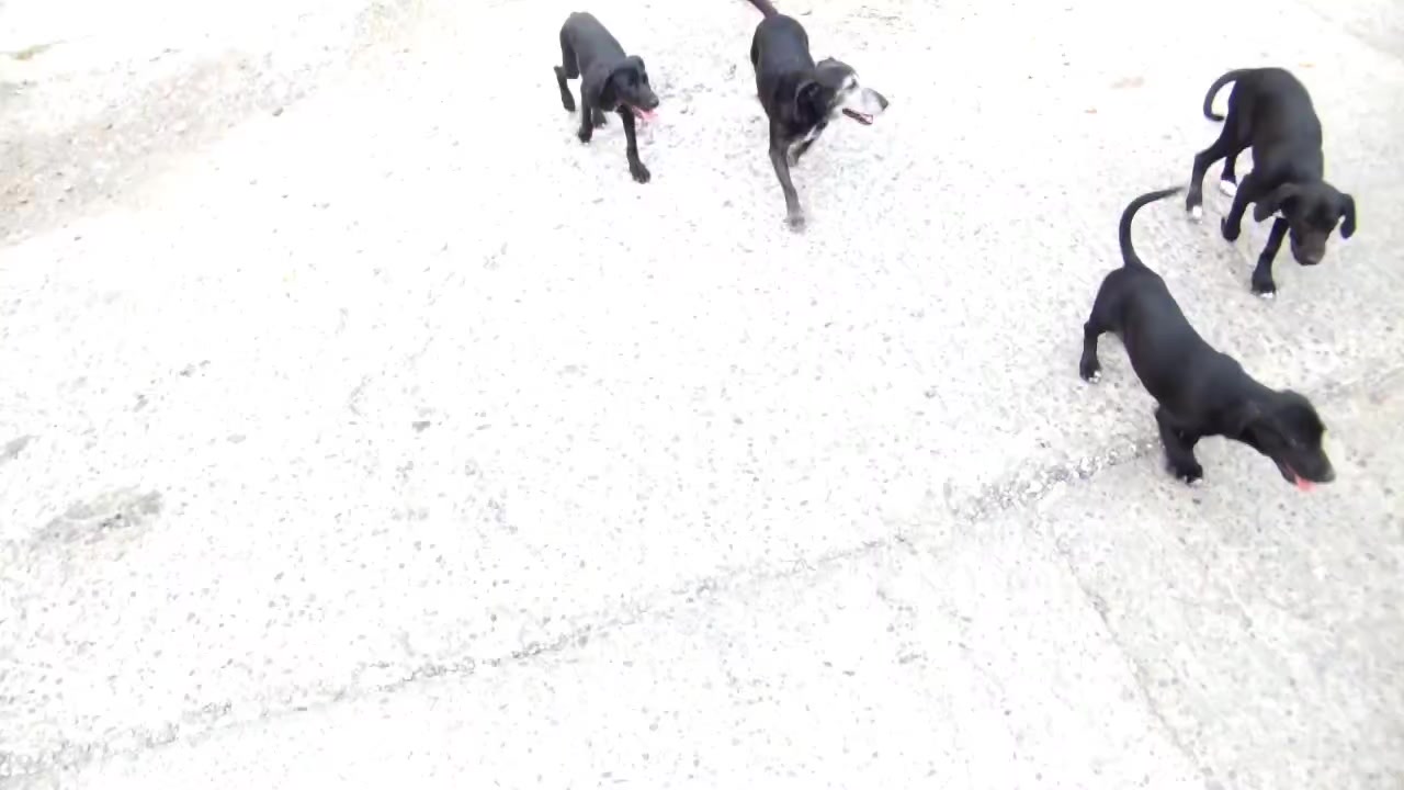 @МаЙЙЙя