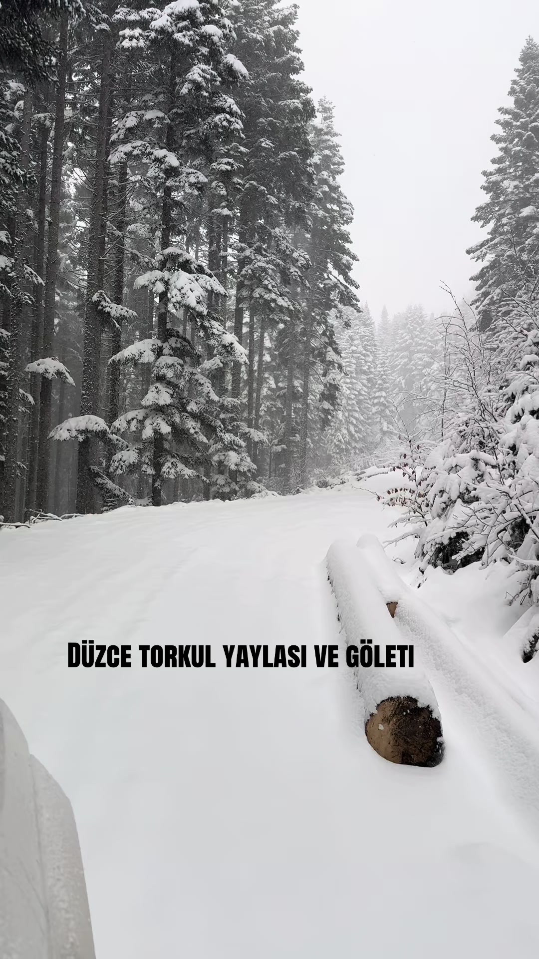 @Oğuz BULUT