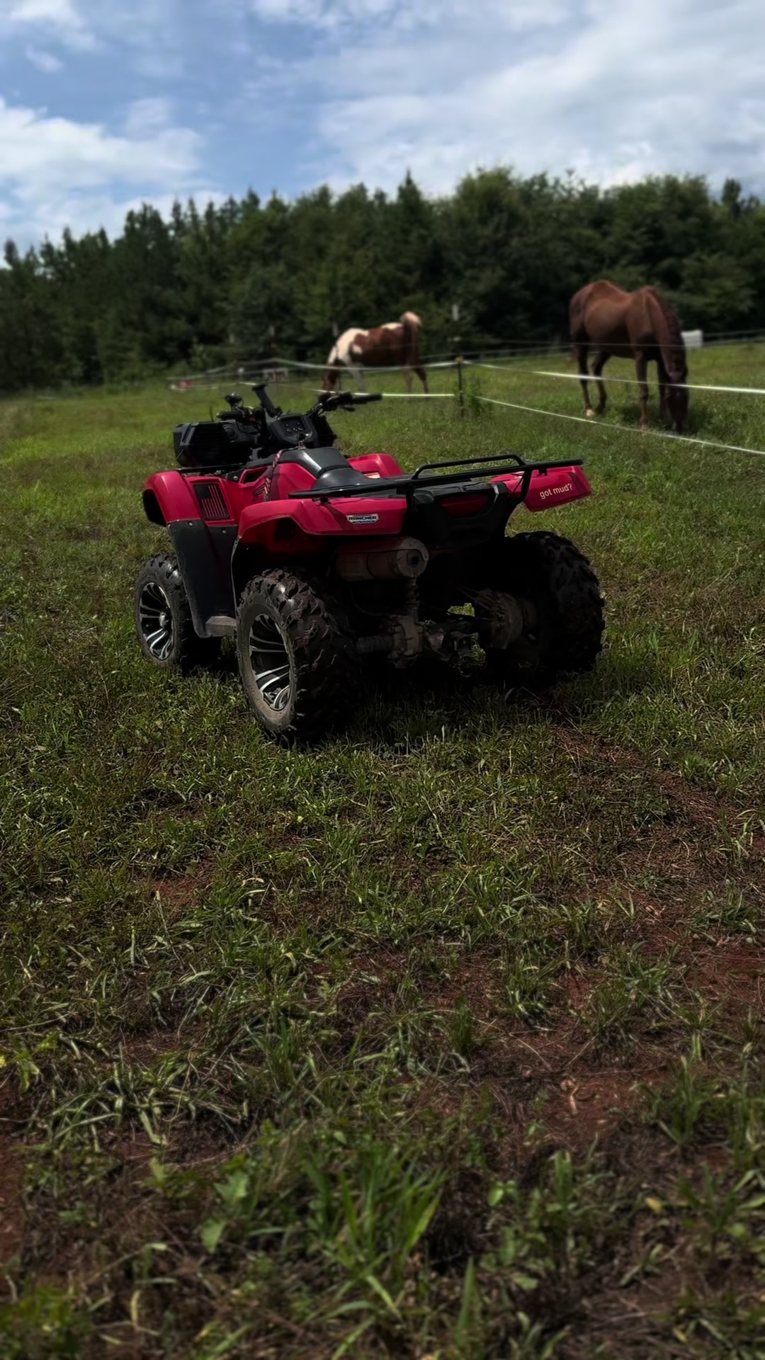 @😎🤙That Red Honda 🇺🇸🤠