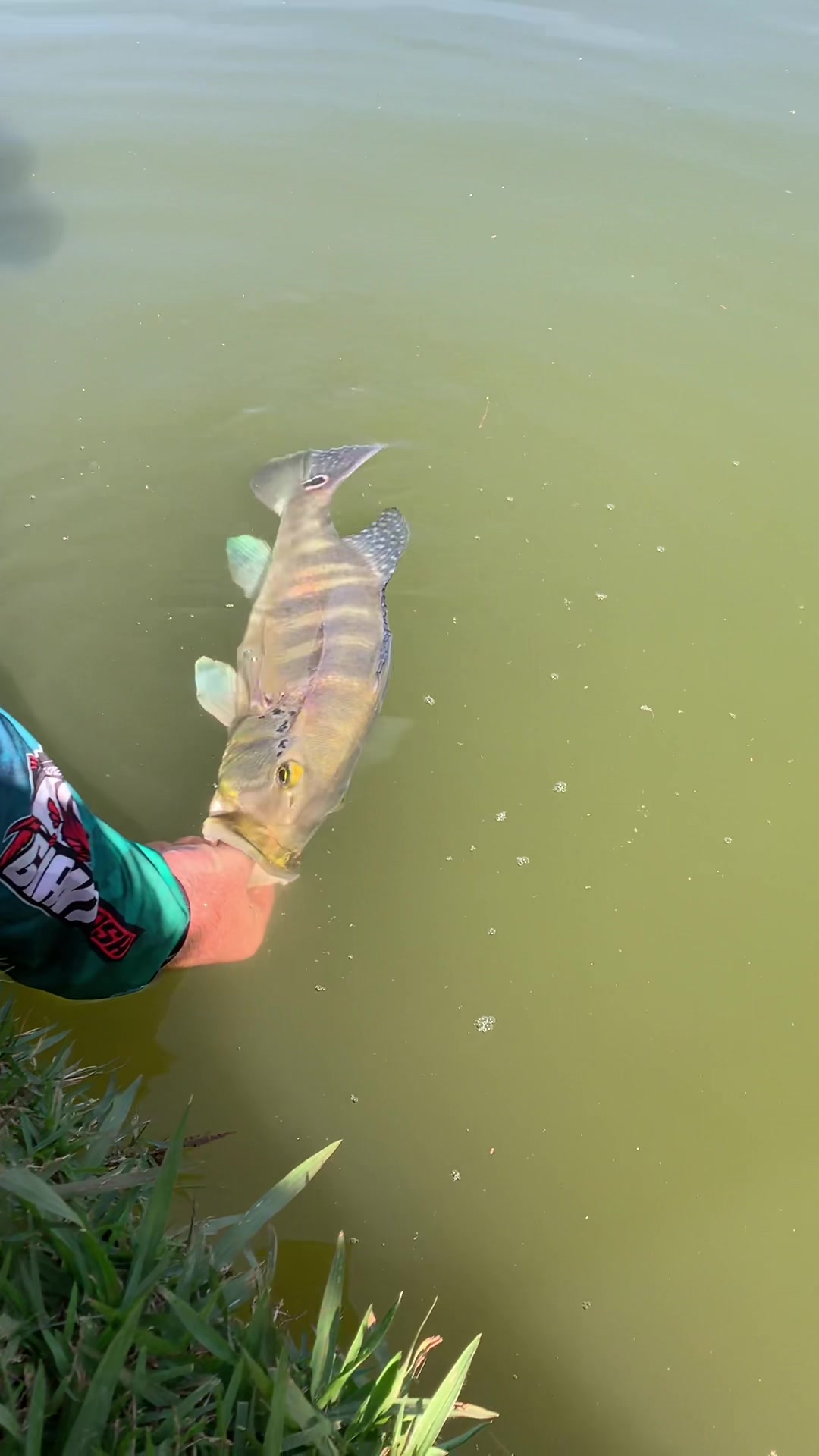 @Dimex Pescador