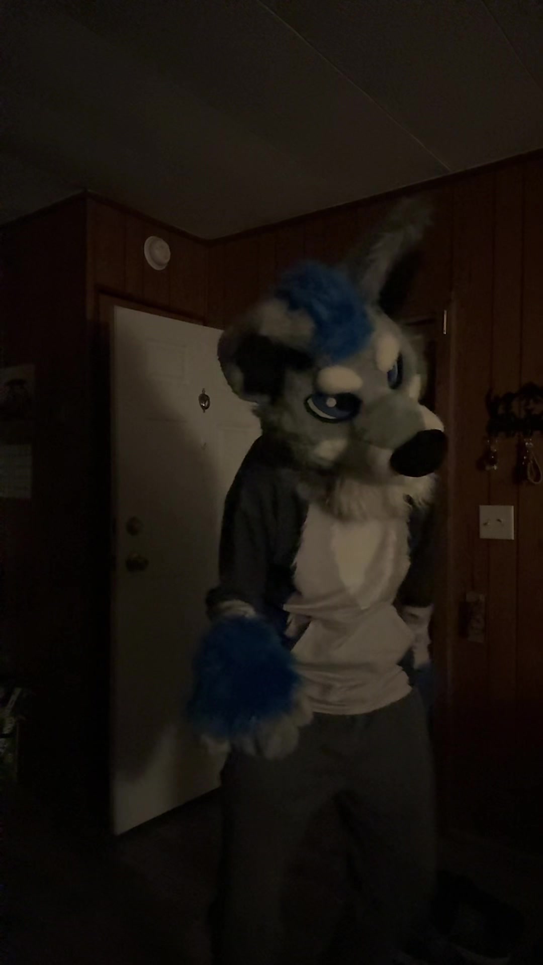 @BlueSilver_Wolf