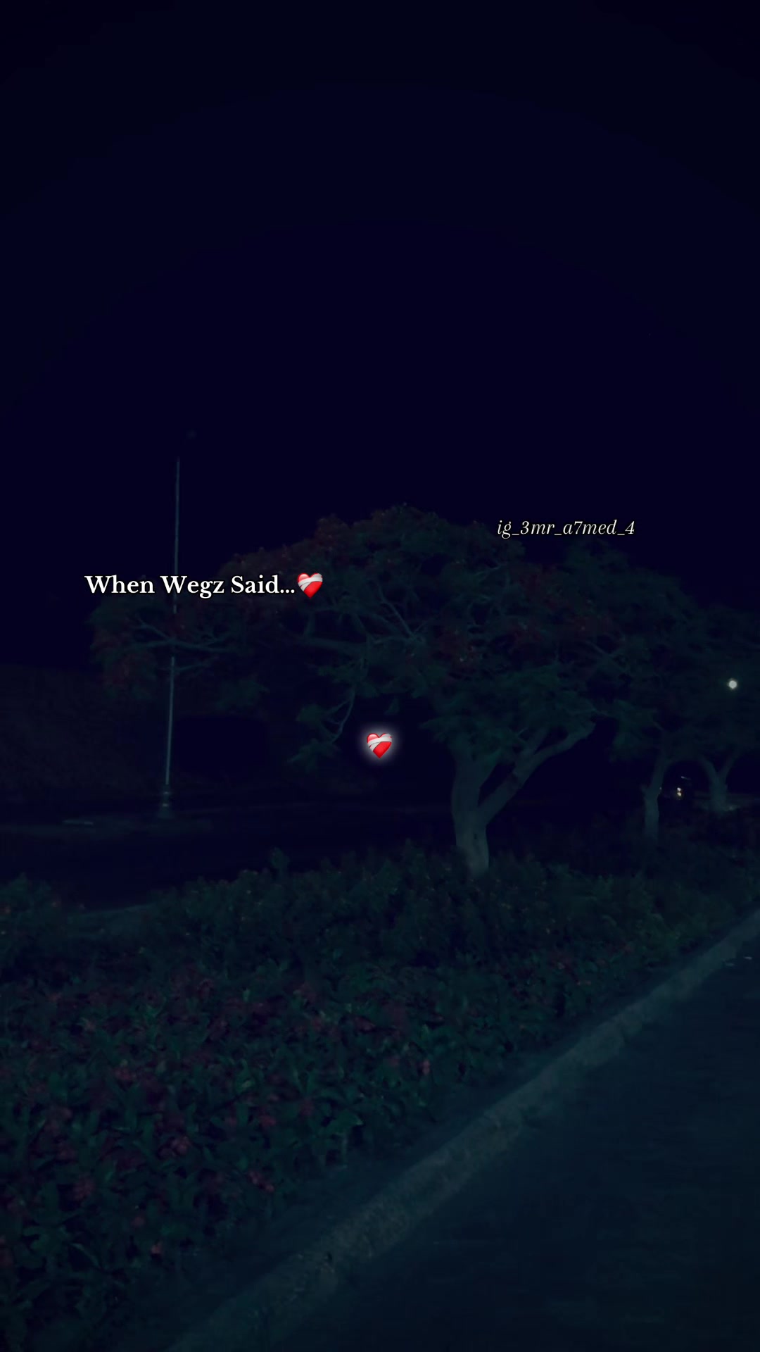 @﮼موورا🐺⚡️