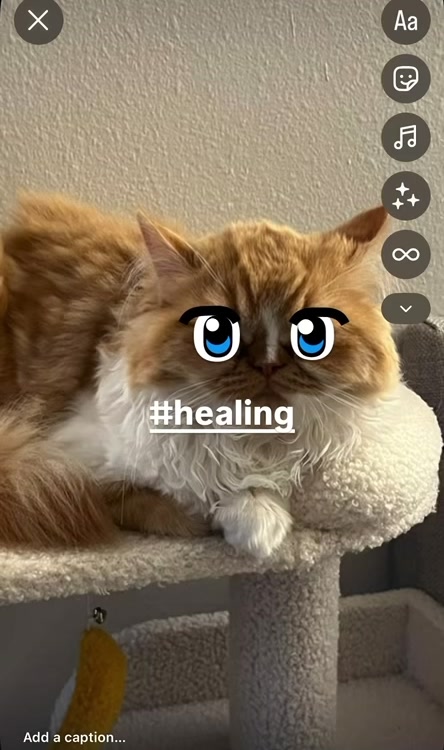 @somithepersian
