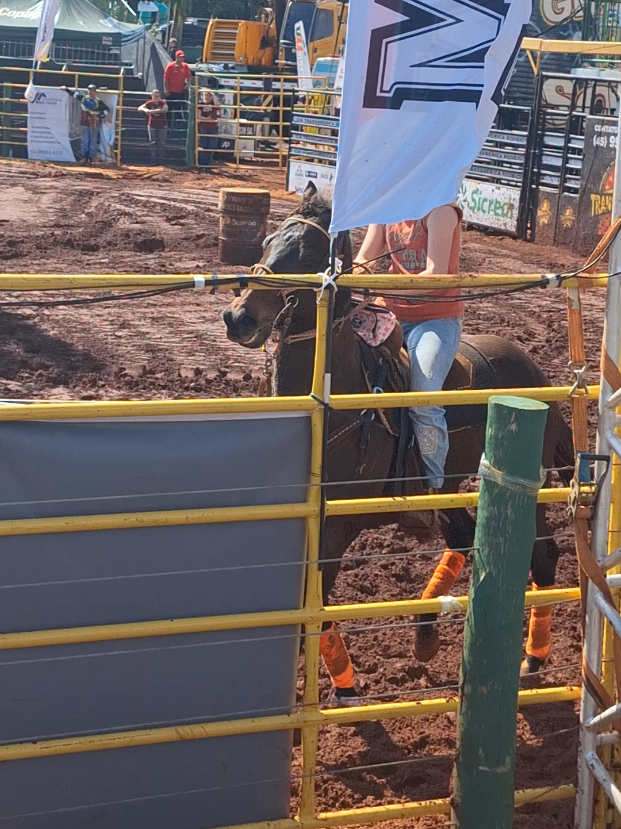 @rodeo