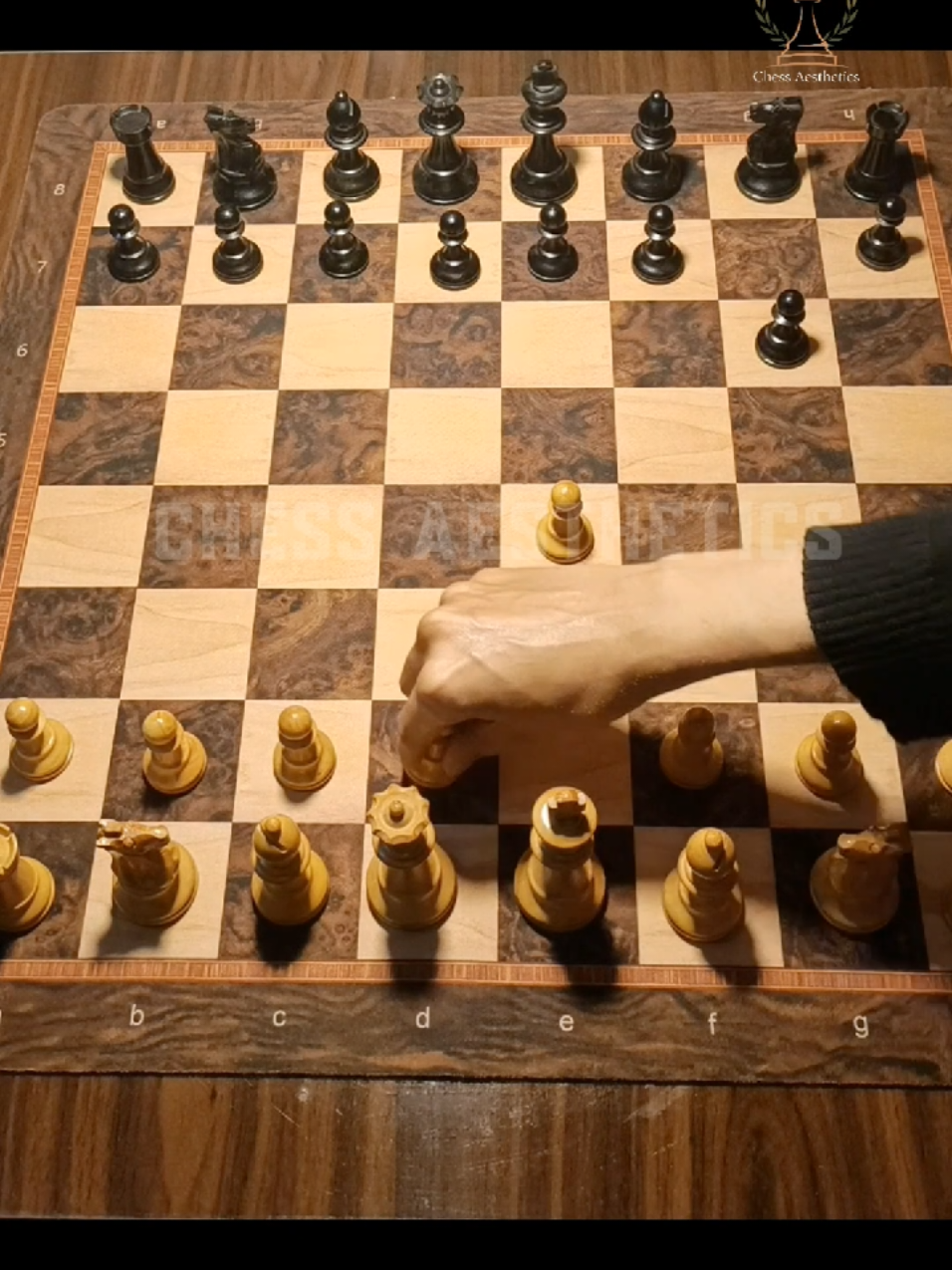 @Chess Aesthetics