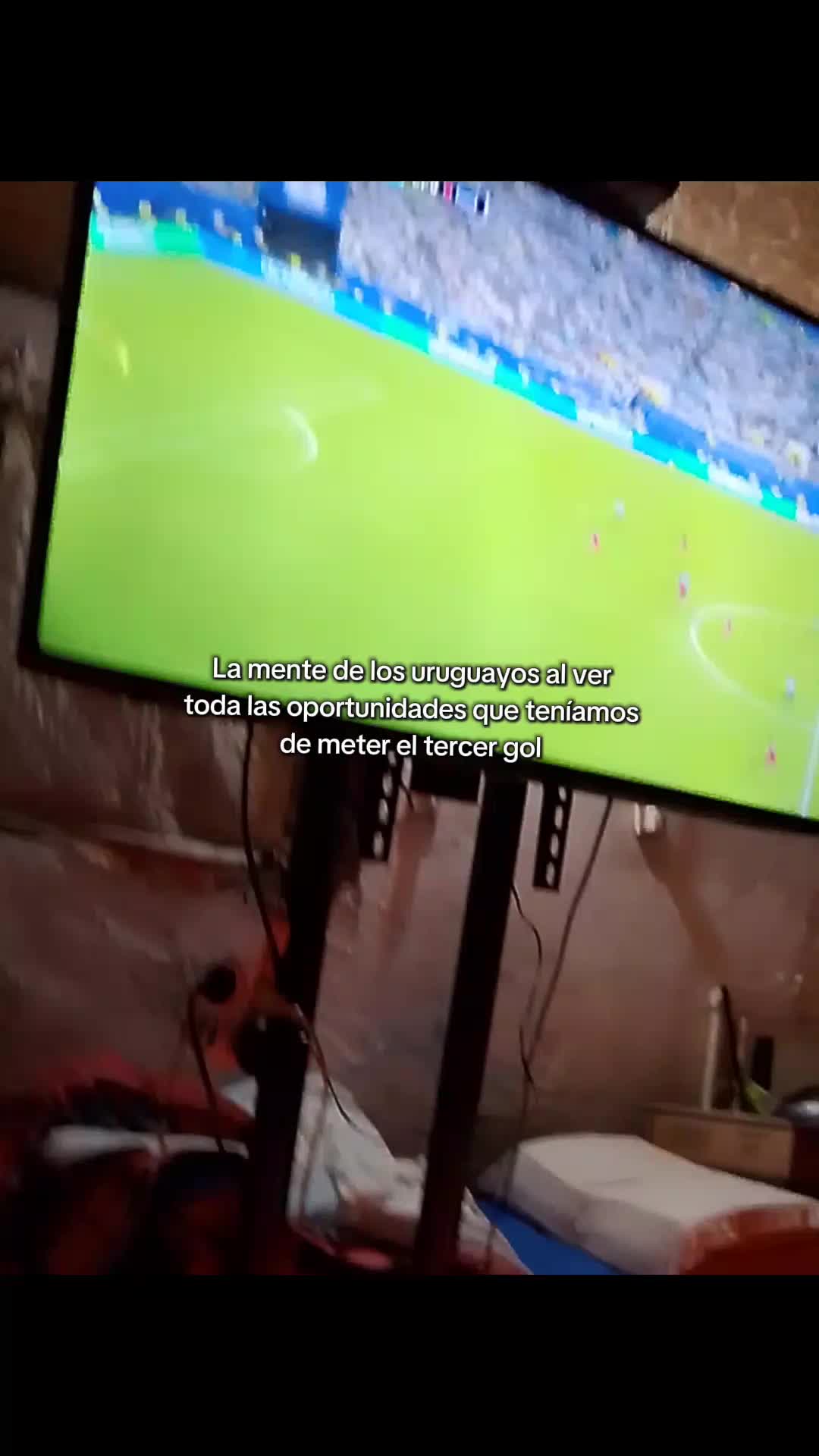 @Lucia_3390