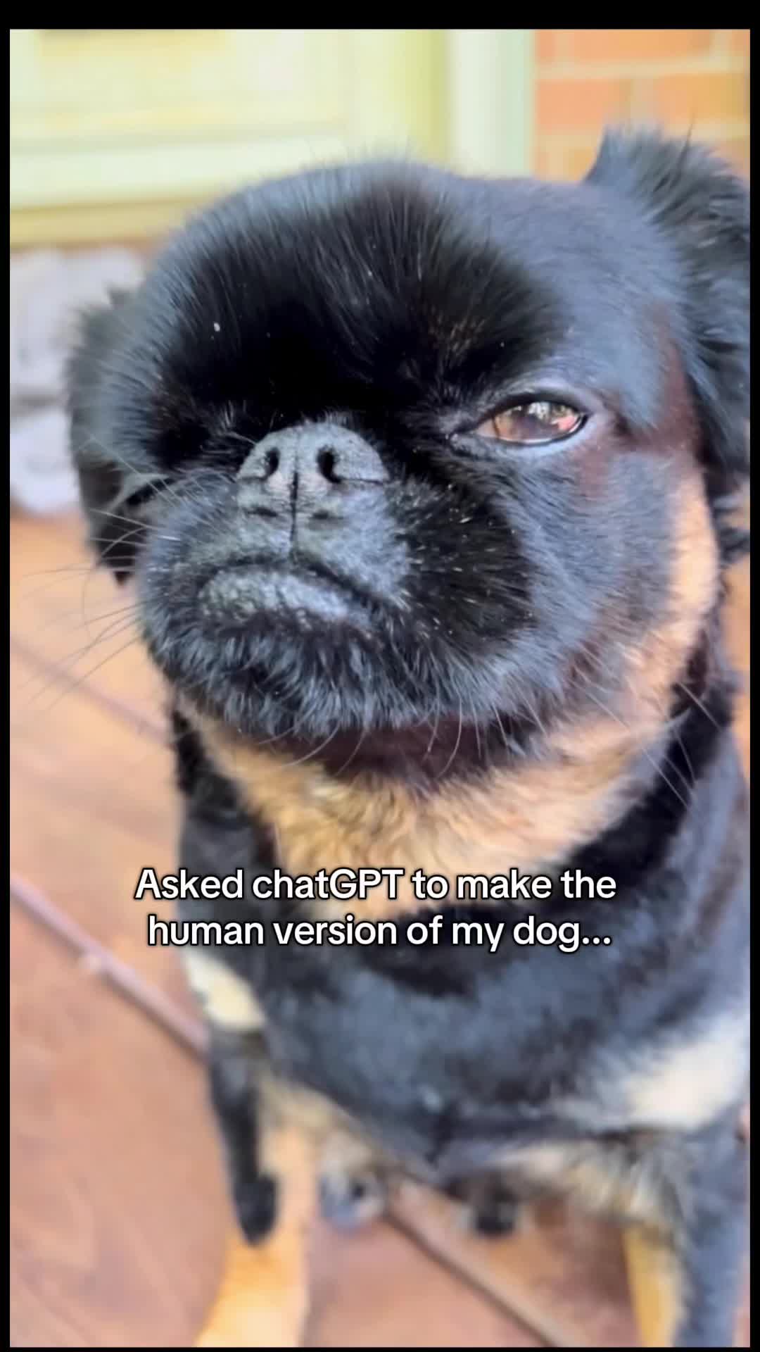 @Chicoandhisbanditos