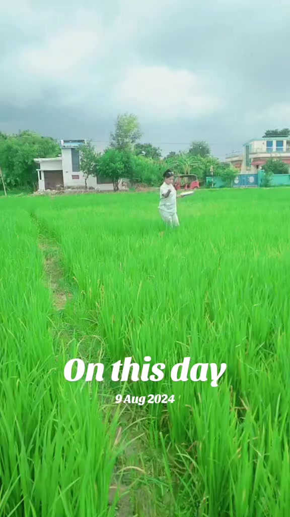 @urmilapal155