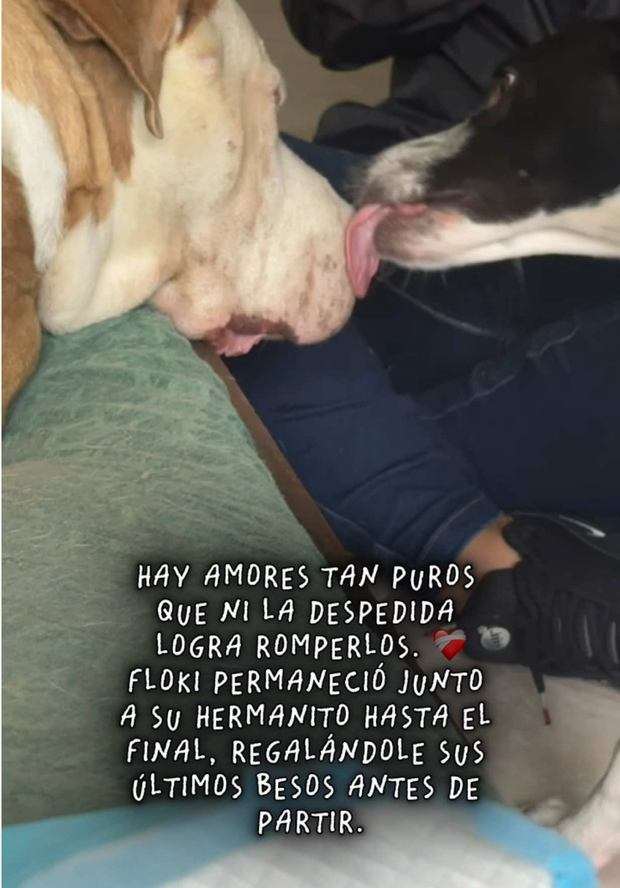 @Mariana Parra