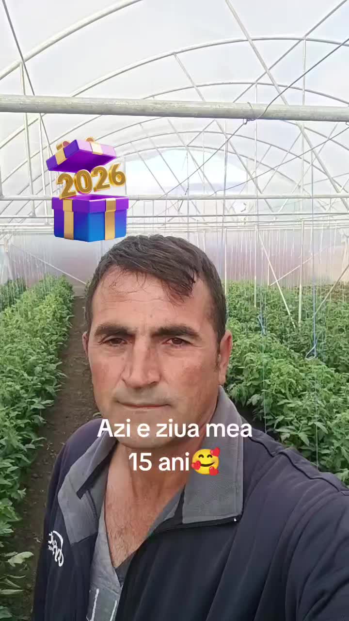 @Daniel Stan