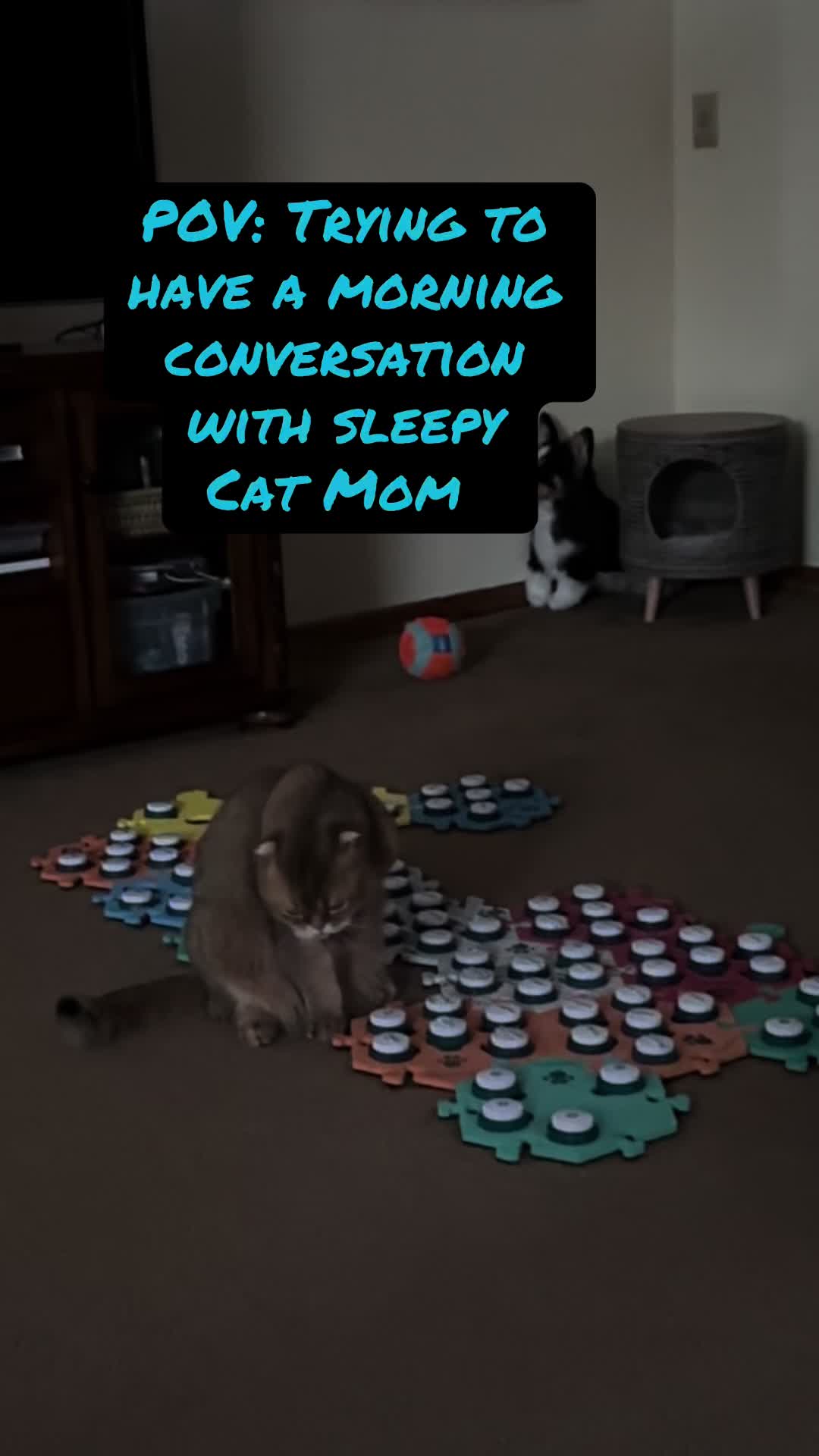 @Puffindoestricks