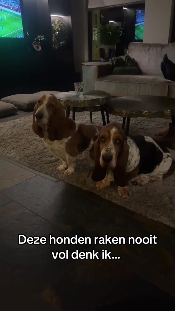 @LIV JANSEN