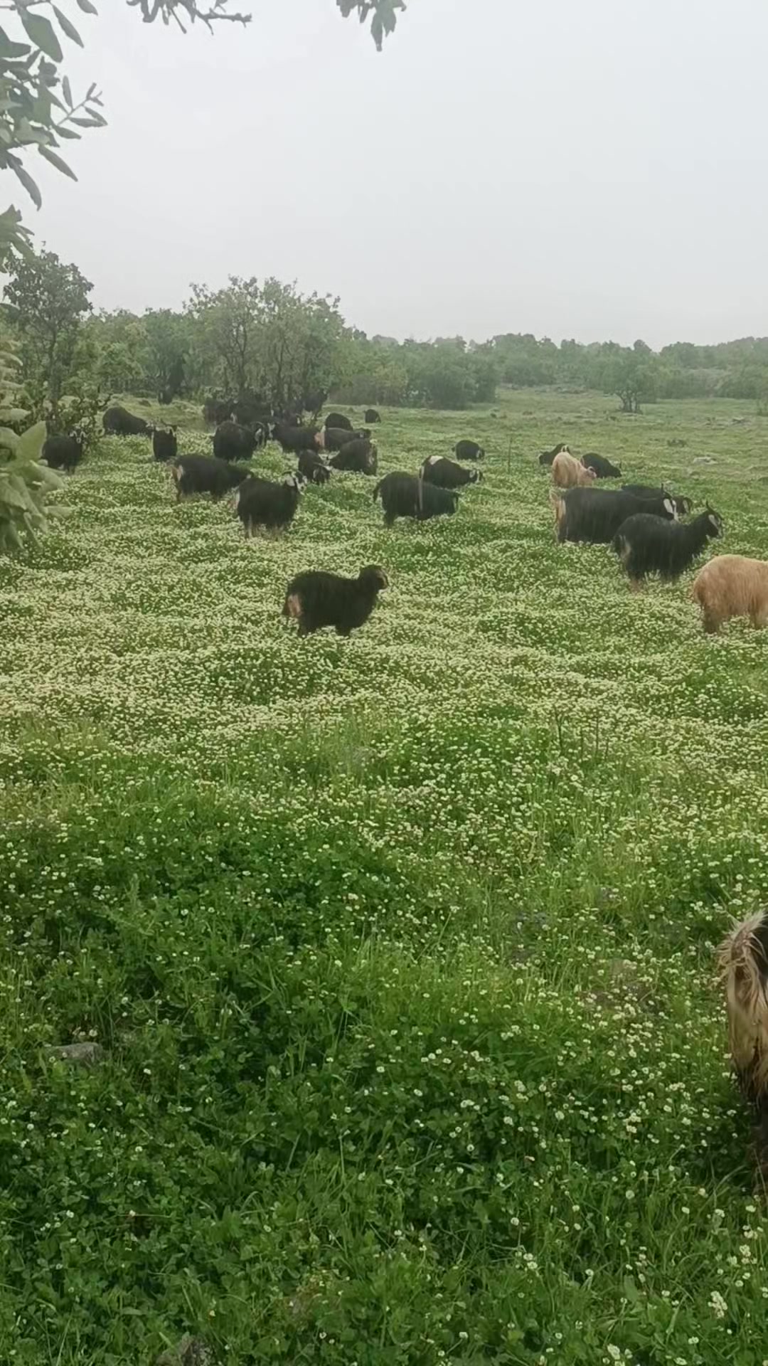 @koçer.12