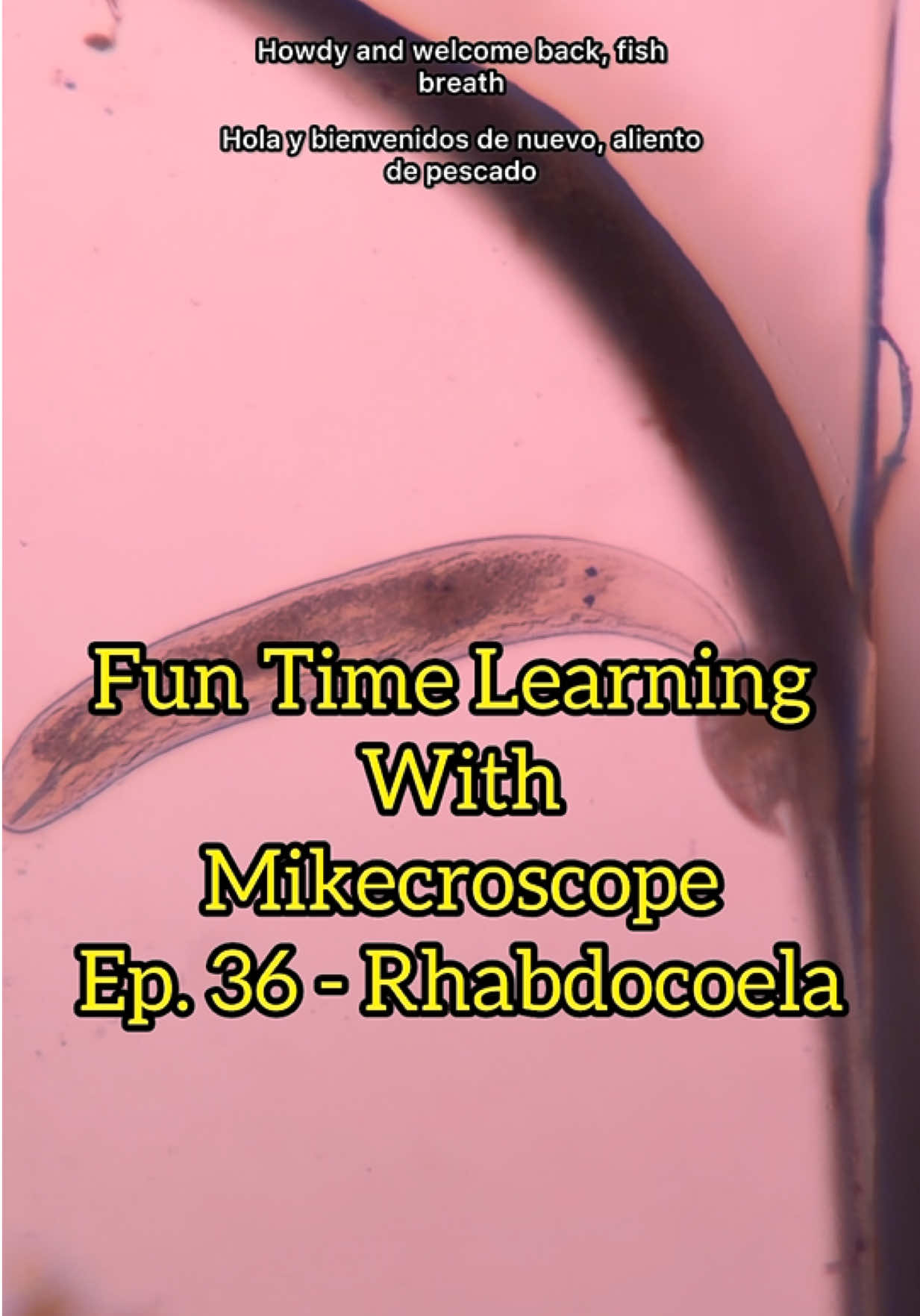@Mikecroscope
