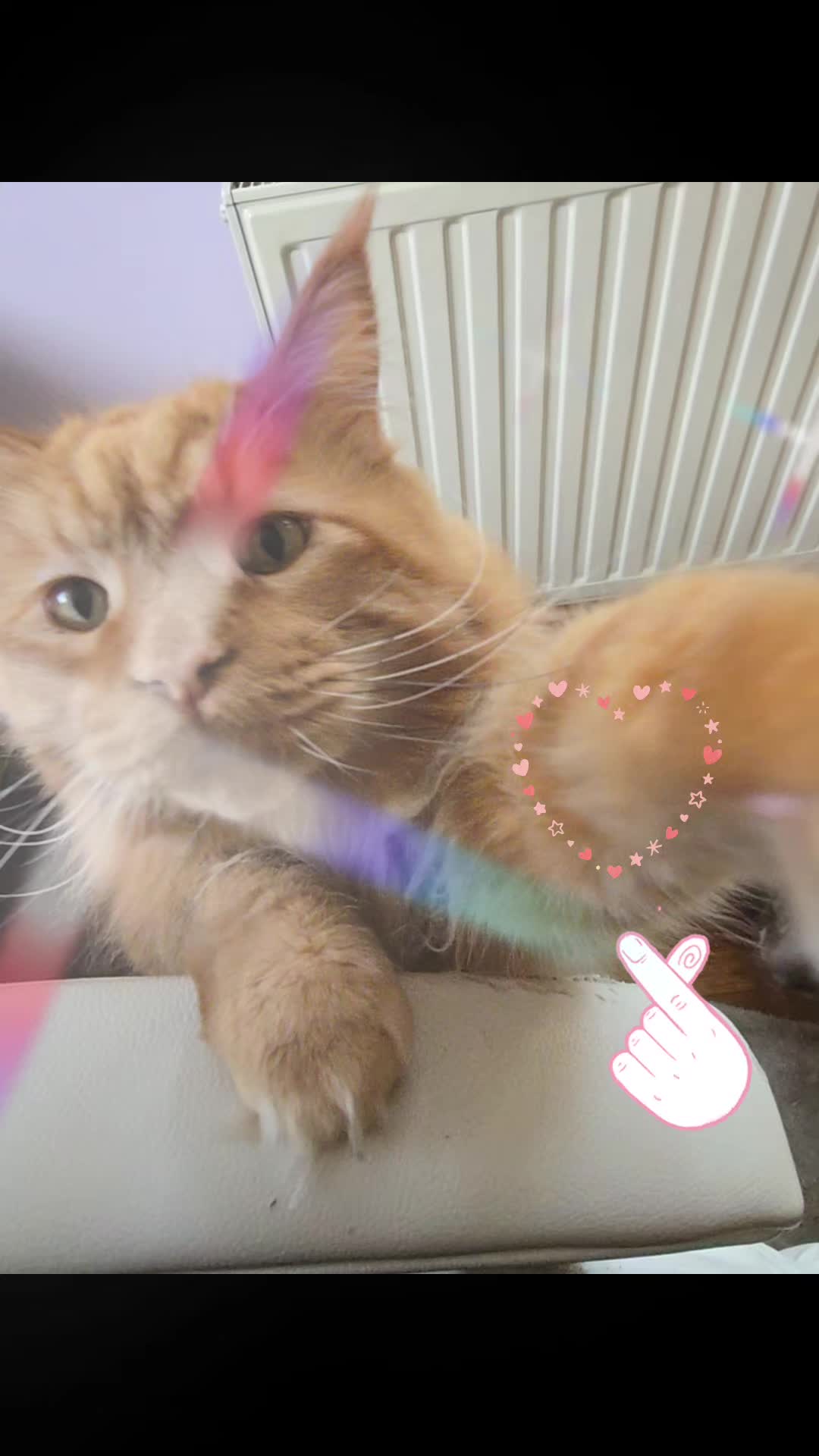 @Nettchen/Herzmensch❤️🥰