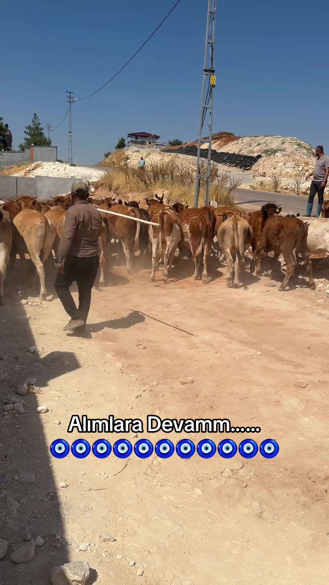 @Cemil Tekkanat