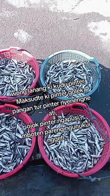 @ES KOPI GULA AREN ๐ฅ
