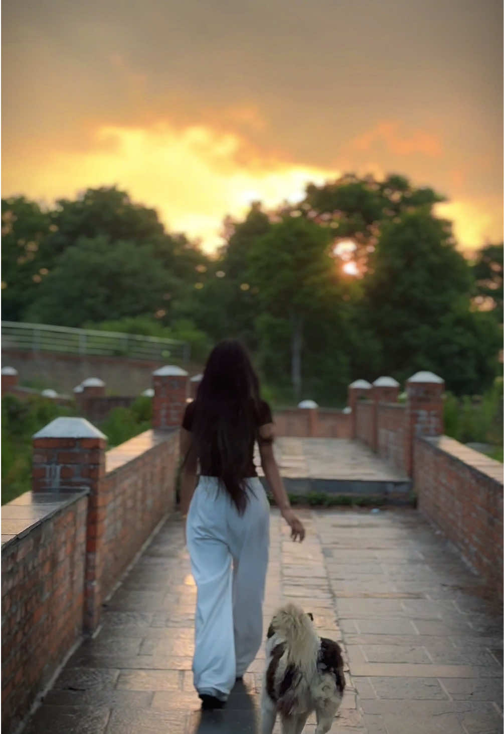 @ushachhetri_