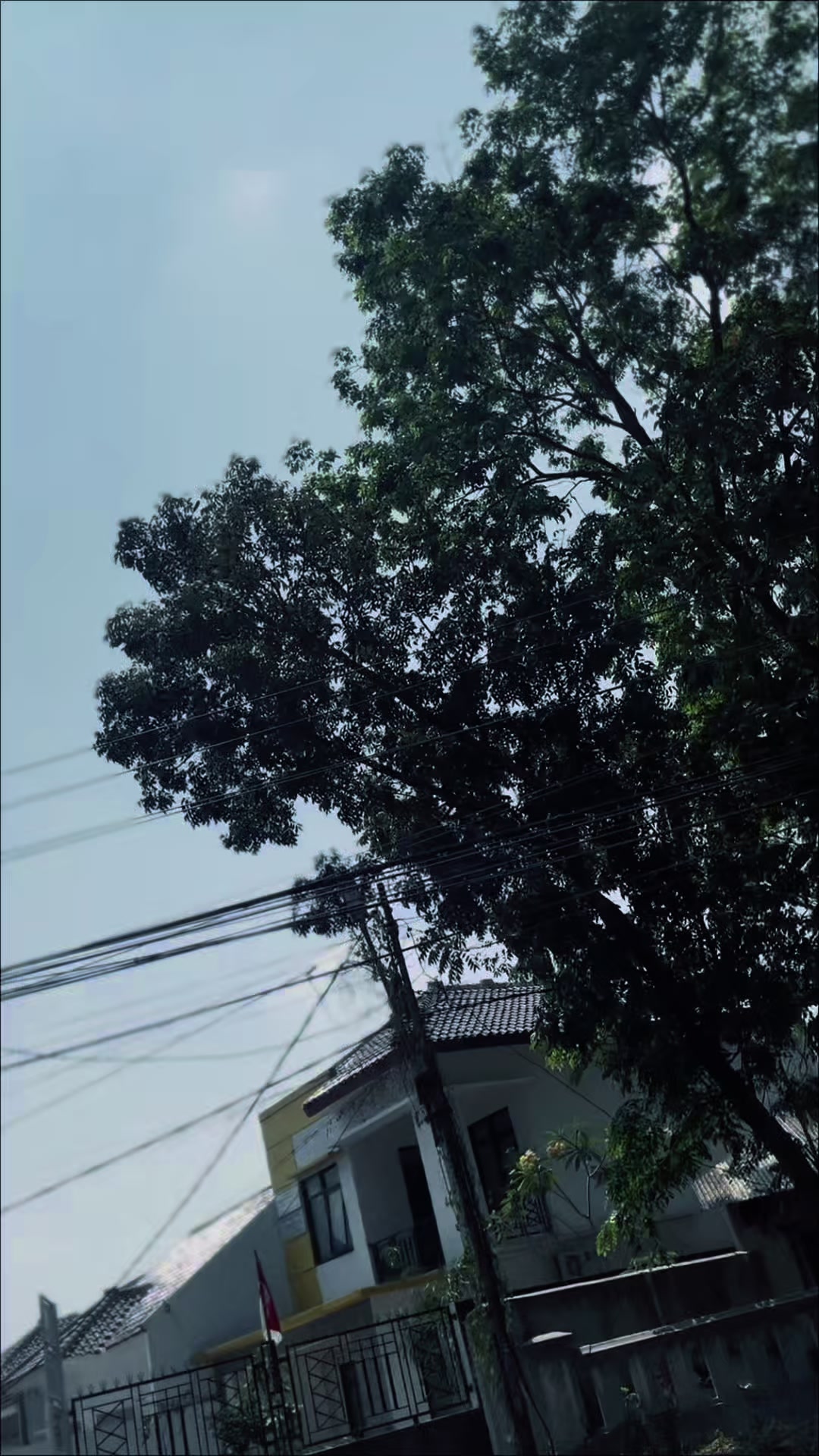 @Myu-4m4r