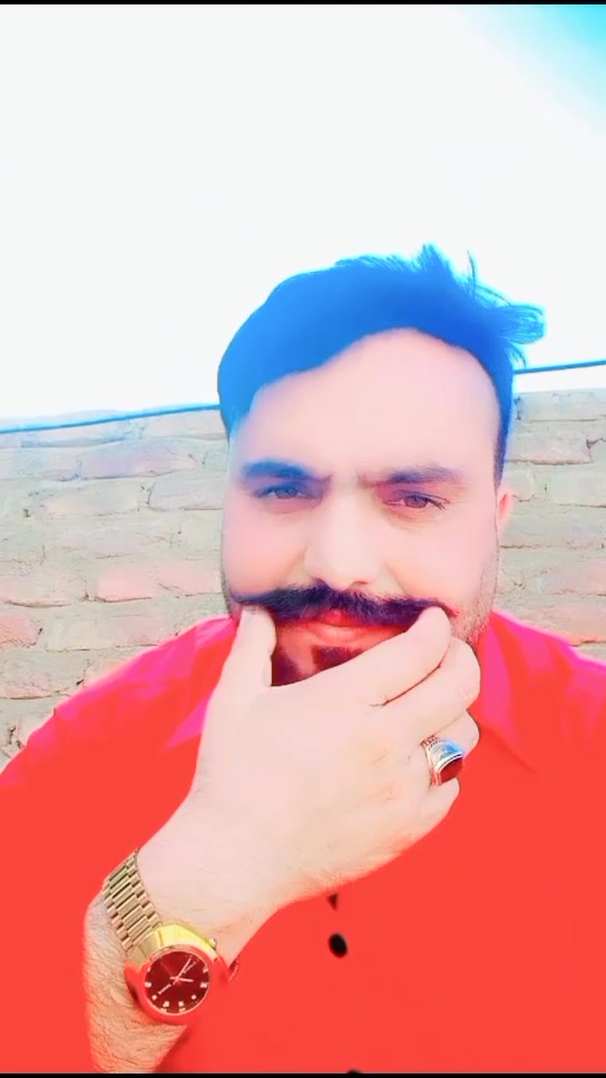 @chamir8733