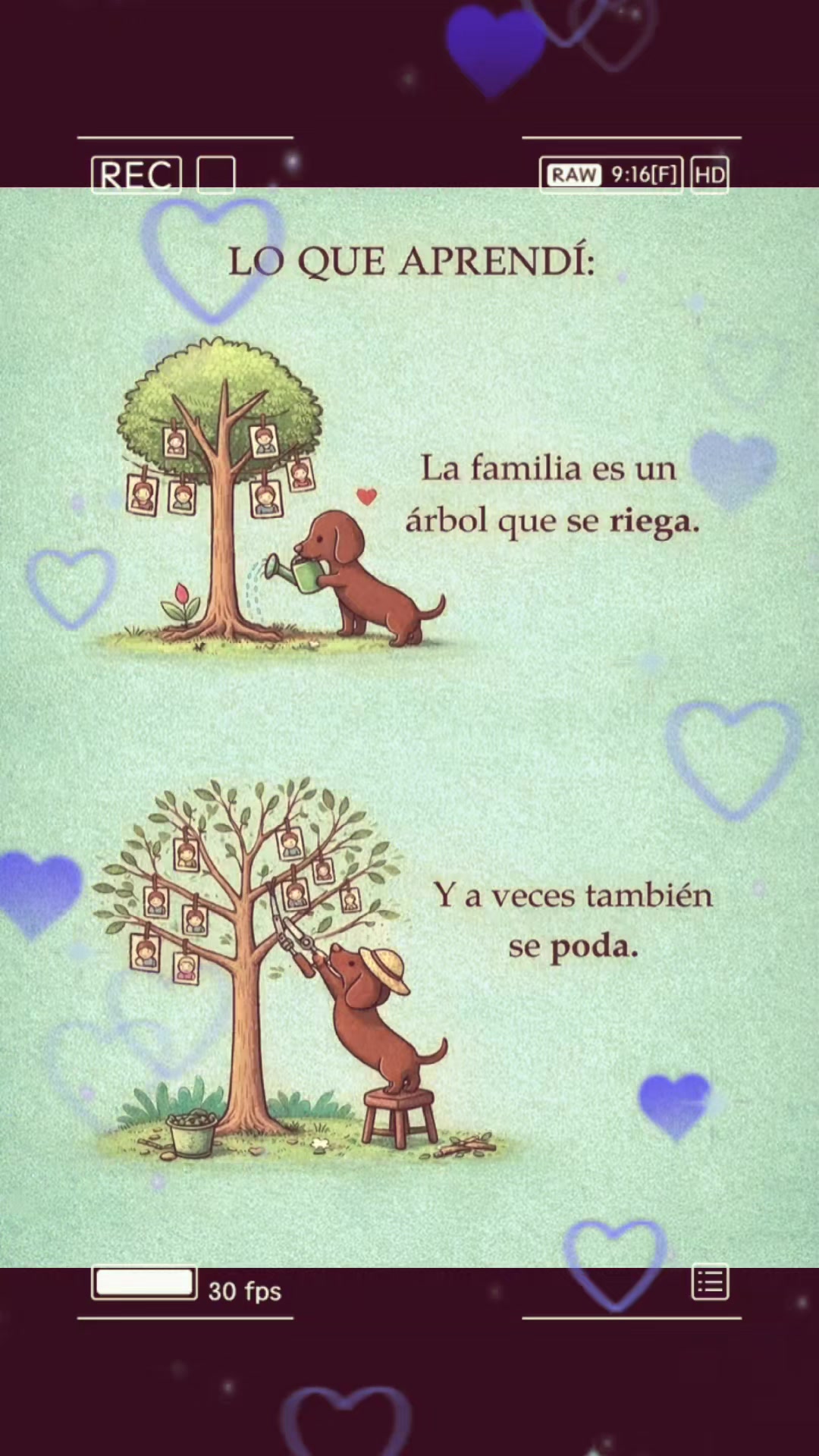 @Daimich💗