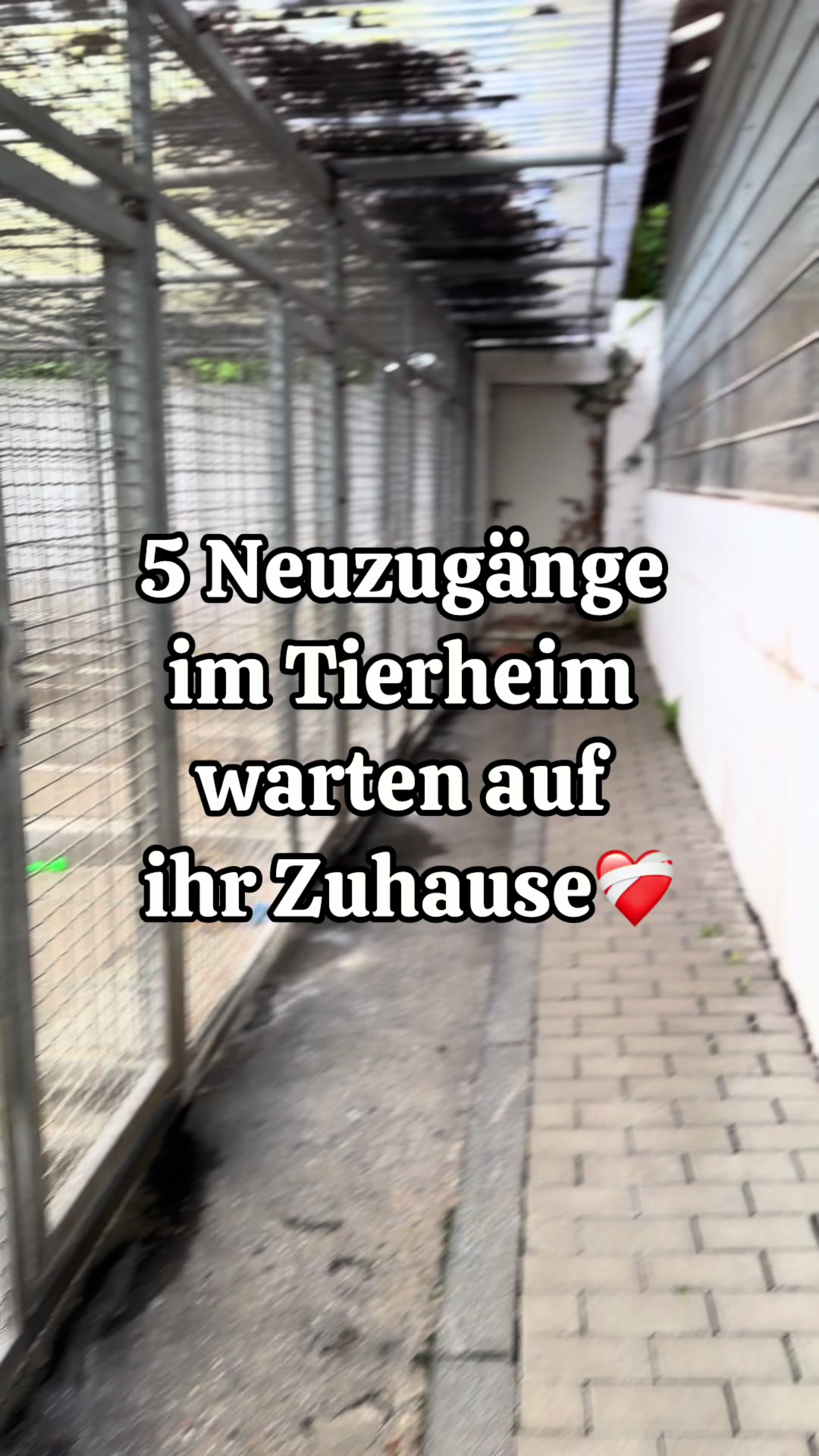 @Tierheim Witten e.V.