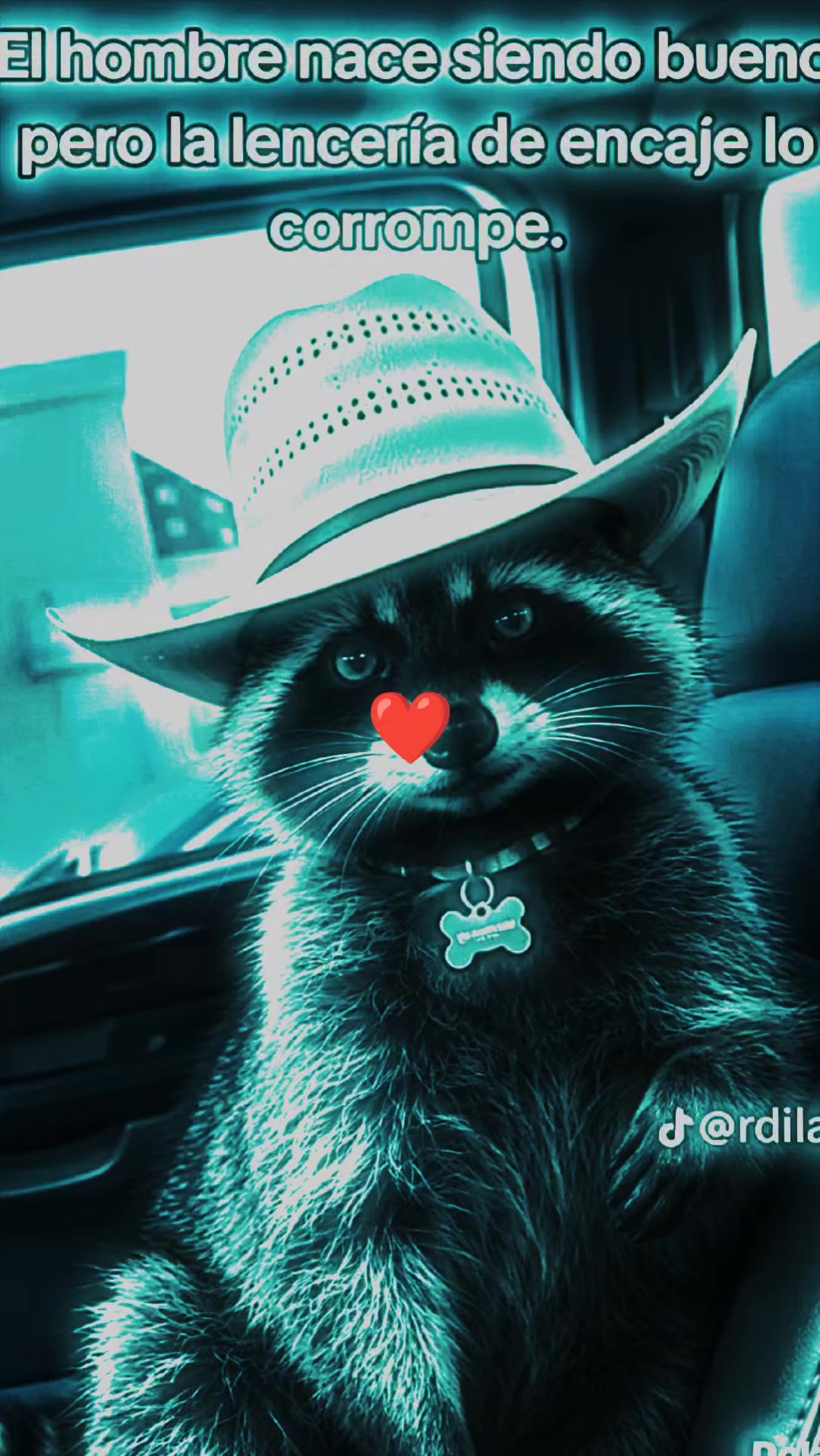 @👑🪽ЄL🦝M@P@CHЄ