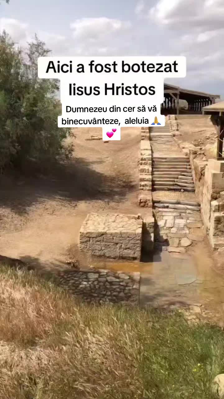 @Mogoșanu MoMo ♪